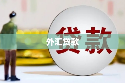 阿尔山外汇贷款