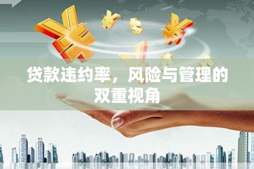 阿尔山贷款违约率，风险与管理的双重视角