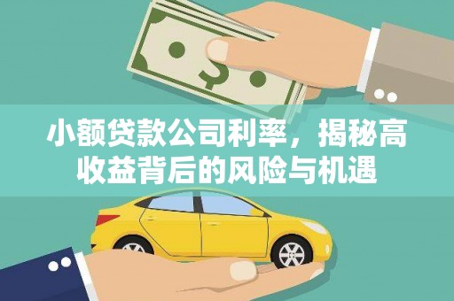阿尔山小额贷款公司利率，揭秘高收益背后的风险与机遇