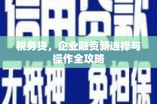 阿尔山税务贷，企业融资新选择与操作全攻略