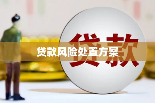 阿尔山贷款风险处置方案