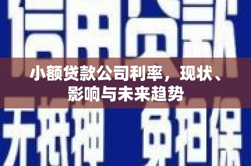 阿尔山小额贷款公司利率，现状、影响与未来趋势
