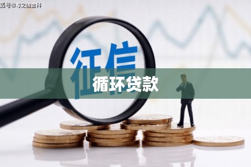阿尔山循环贷款