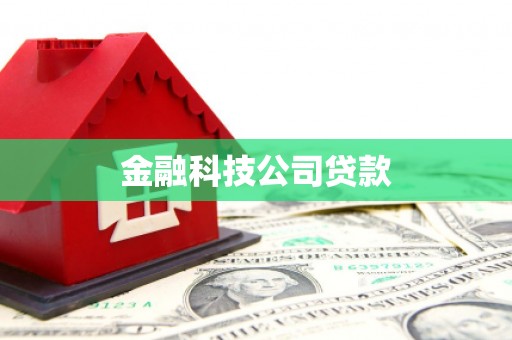 阿尔山金融科技公司贷款