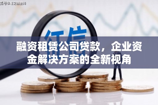 阿尔山融资租赁公司贷款，企业资金解决方案的全新视角
