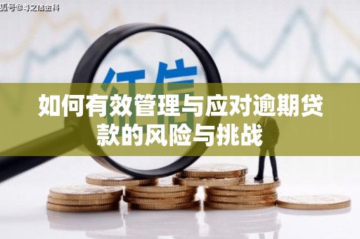 阿尔山如何有效管理与应对逾期贷款的风险与挑战