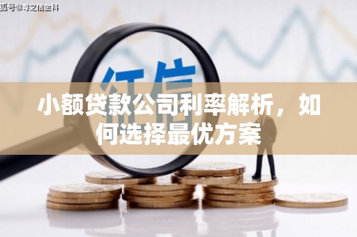 阿尔山小额贷款公司利率解析，如何选择最优方案