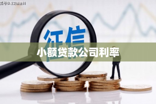 阿尔山小额贷款公司利率