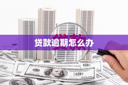 阿尔山贷款逾期怎么办