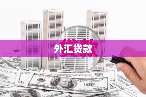 阿尔山外汇贷款