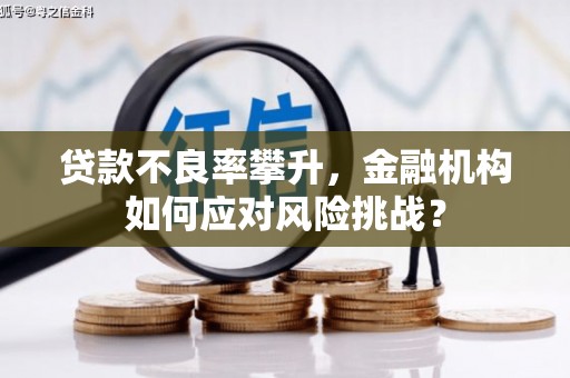 阿尔山贷款不良率攀升，金融机构如何应对风险挑战？