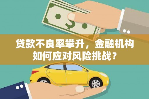 阿尔山贷款不良率攀升，金融机构如何应对风险挑战？
