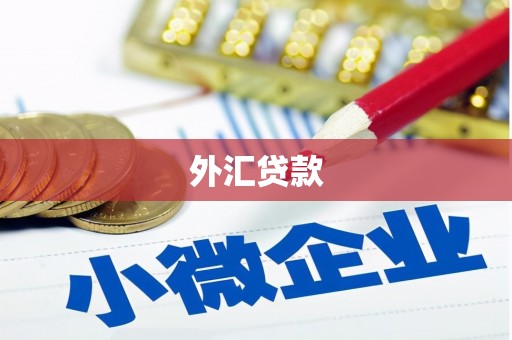 阿尔山外汇贷款