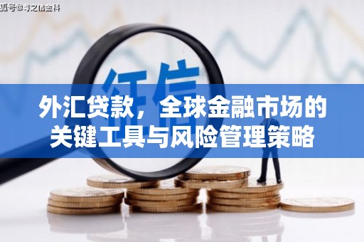 阿尔山外汇贷款，全球金融市场的关键工具与风险管理策略