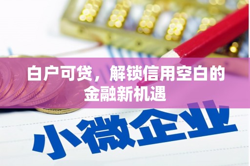 阿尔山白户可贷，解锁信用空白的金融新机遇