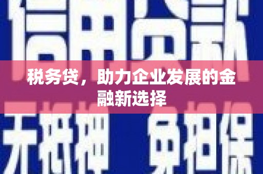 阿尔山税务贷，助力企业发展的金融新选择