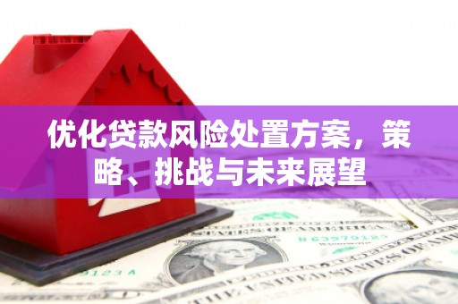 阿尔山优化贷款风险处置方案，策略、挑战与未来展望