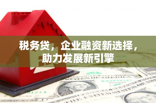 阿尔山税务贷，企业融资新选择，助力发展新引擎