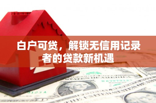 阿尔山白户可贷，解锁无信用记录者的贷款新机遇