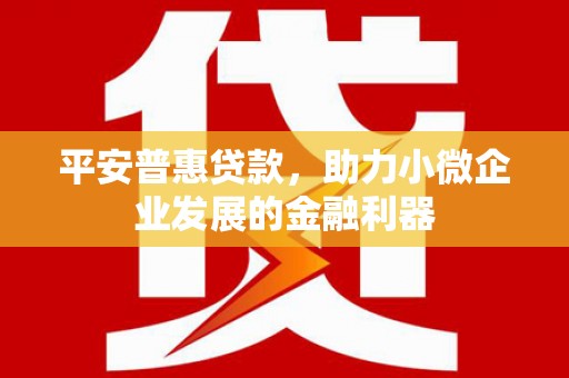 阿尔山平安普惠贷款，助力小微企业发展的金融利器