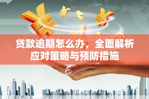 阿尔山贷款逾期怎么办，全面解析应对策略与预防措施