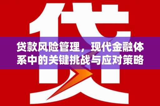 阿尔山贷款风险管理，现代金融体系中的关键挑战与应对策略