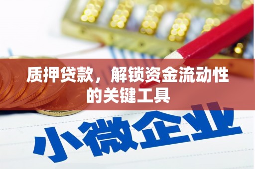 阿尔山质押贷款，解锁资金流动性的关键工具