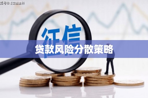 阿尔山贷款风险分散策略
