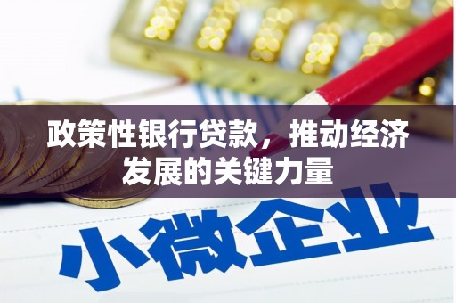 阿尔山政策性银行贷款，推动经济发展的关键力量