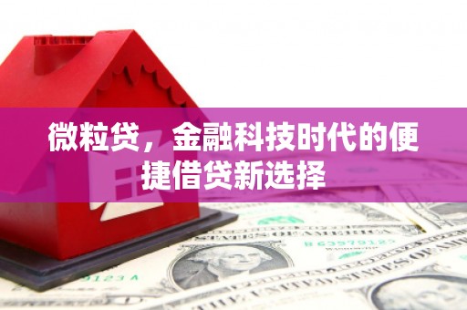 阿尔山微粒贷，金融科技时代的便捷借贷新选择