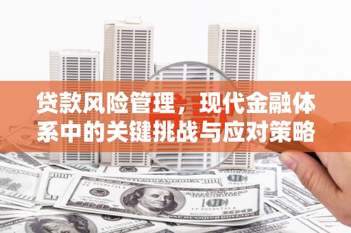 阿尔山贷款风险管理，现代金融体系中的关键挑战与应对策略
