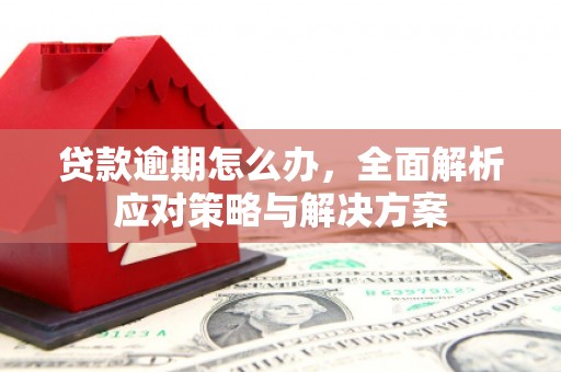 阿尔山贷款逾期怎么办，全面解析应对策略与解决方案