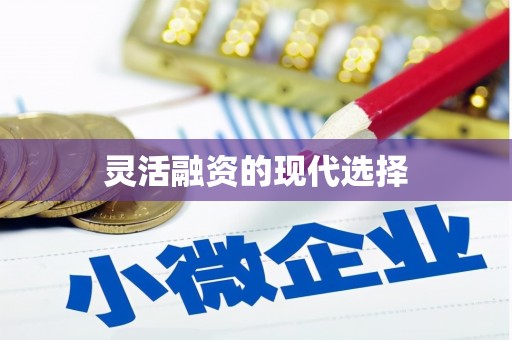 阿尔山灵活融资的现代选择