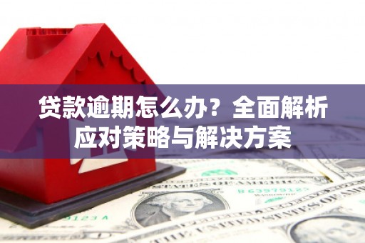 阿尔山贷款逾期怎么办？全面解析应对策略与解决方案