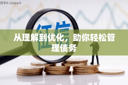 阿尔山从理解到优化，助你轻松管理债务