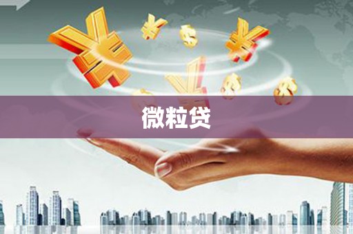 阿尔山微粒贷