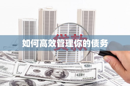 阿尔山如何高效管理你的债务