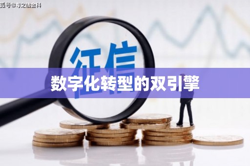 阿尔山数字化转型的双引擎