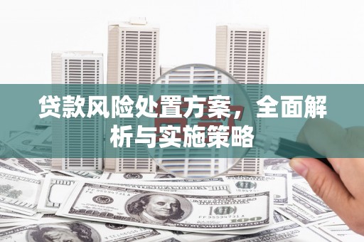 阿尔山贷款风险处置方案，全面解析与实施策略