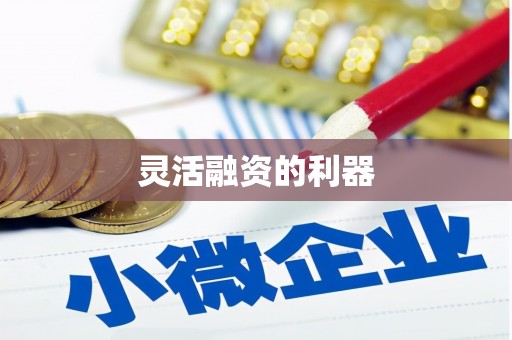 阿尔山灵活融资的利器