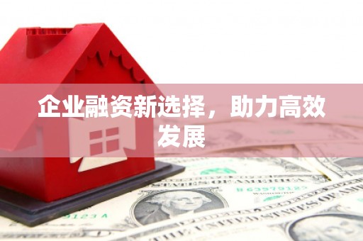 阿尔山企业融资新选择，助力高效发展