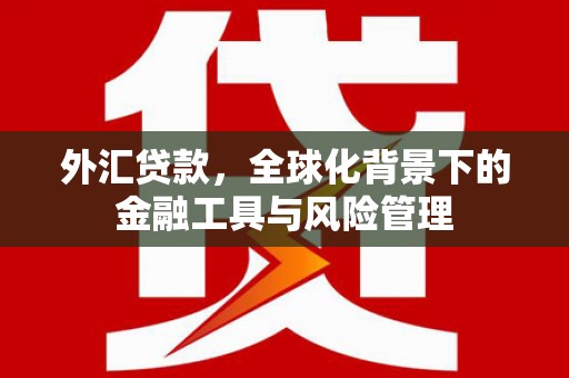 阿尔山外汇贷款，全球化背景下的金融工具与风险管理