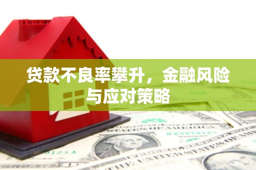 阿尔山贷款不良率攀升，金融风险与应对策略